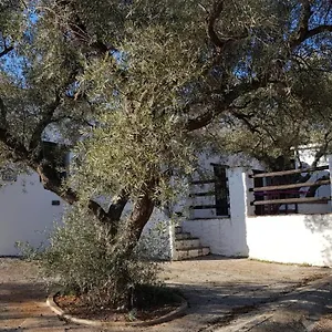Gateway To The Alpujarras, 'cortijo Derry' Orgiva